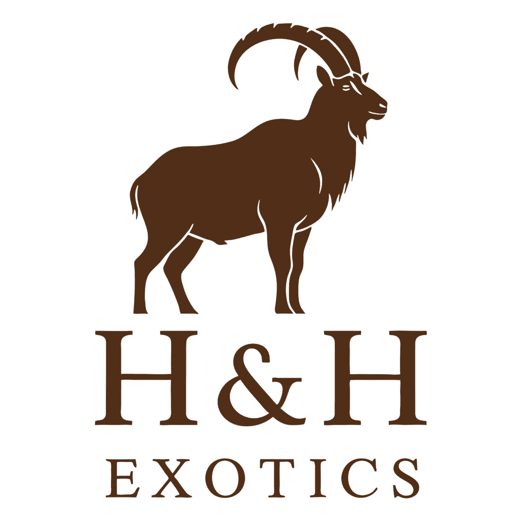 H&H Exotics - Texas game Ranch - Lometa, Texas H&H Exotics - Texas game Ranch - Lometa, Texas