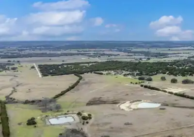 H&H Exotics - Lometa, Texas