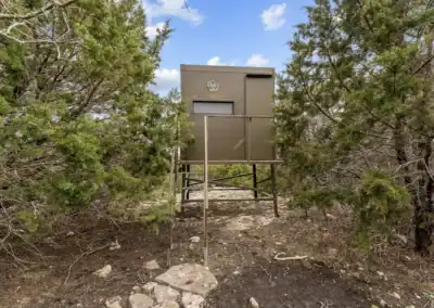 H&H Exotics - Lometa, Texas