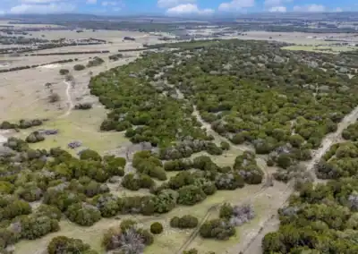 H&H Exotics - Lometa, Texas