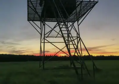 H&H Exotics - Lometa, Texas