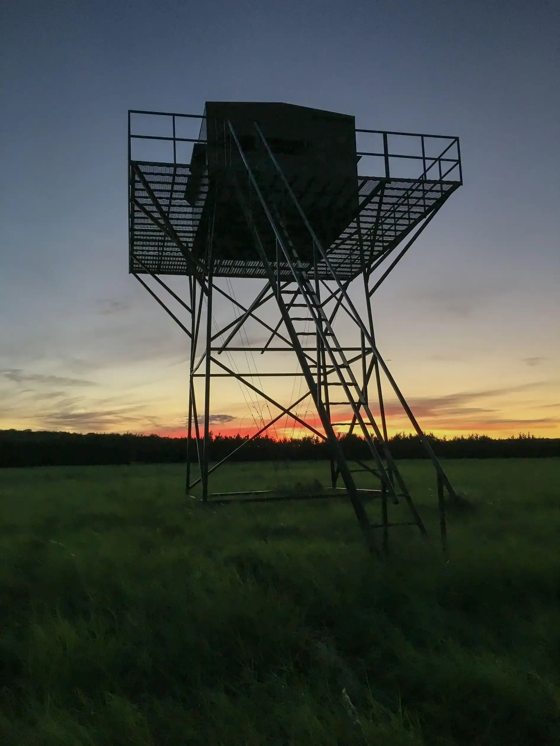 H&H Exotics - Lometa, Texas