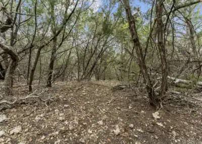 H&H Exotics - Lometa, Texas