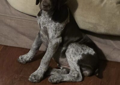 H&H Exotics - Lometa, Texas