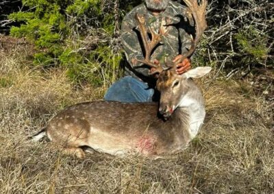 H&H Exotics - Lometa, Texas