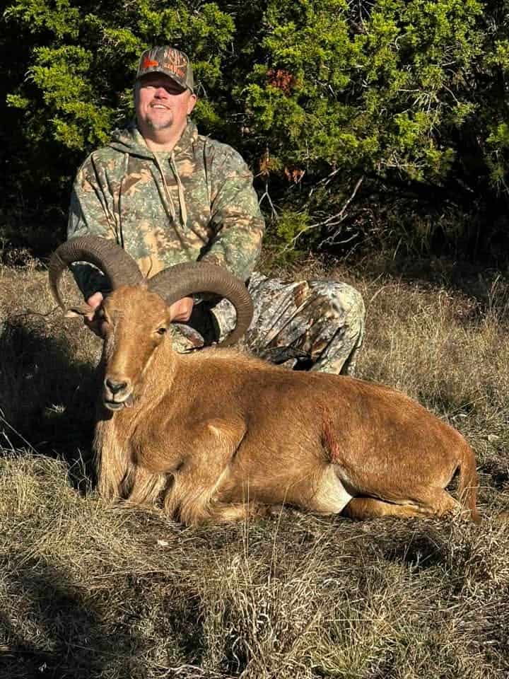 H&H Exotics - Texas game Ranch - Lometa, Texas H&H Exotics - Texas game Ranch - Lometa, Texas